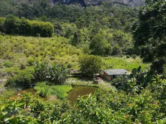 Fazenda / Sítio / Chácara com 4 Quartos à venda, 45000m² no Chacara Paraiso, Nova Friburgo - Foto 26