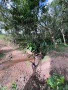 Fazenda / Sítio / Chácara com 2 Quartos à venda, 50m² no Zona Rural, Pelotas - Foto 7