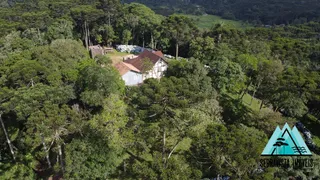 Fazenda / Sítio / Chácara com 4 Quartos à venda, 200m² no Zona Rural, Campo Alegre - Foto 12
