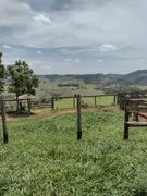 Fazenda / Sítio / Chácara com 3 Quartos à venda, 160m² no Area Rural de Amparo, Amparo - Foto 31