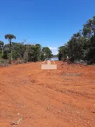 Fazenda / Sítio / Chácara à venda, 134m² no Zona Rural, Felixlândia - Foto 4