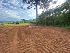 Terreno / Lote / Condomínio à venda, 96000m² no , Santa Tereza - Foto 14