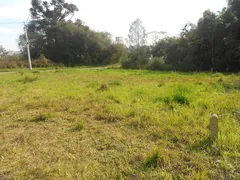 Terreno / Lote / Condomínio à venda, 416m² no Pousada da neve, Nova Petrópolis - Foto 4