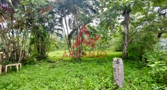 Terreno / Lote / Condomínio à venda, 26800m² no Ubatumirim, Ubatuba - Foto 12