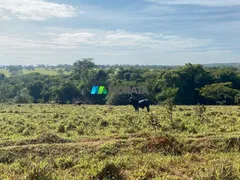 Fazenda / Sítio / Chácara com 1 Quarto à venda, 123m² no Zona Rural, Felixlândia - Foto 5