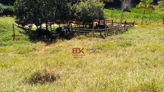 Fazenda / Sítio / Chácara com 2 Quartos à venda, 60500m² no , Cunha - Foto 35