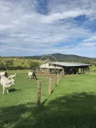 Fazenda / Sítio / Chácara com 4 Quartos à venda, 7m² no Centro, Anicuns - Foto 11