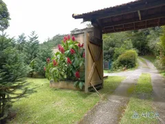 Casa com 3 Quartos à venda, 250m² no Fazenda Inglesa, Petrópolis - Foto 4