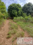 Fazenda / Sítio / Chácara com 4 Quartos à venda, 5000m² no Zona Rural, Indiara - Foto 26