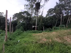 Terreno / Lote / Condomínio à venda, 1024m² no Chacaras Lidia, Embu das Artes - Foto 4