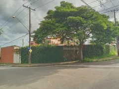 Casa com 5 Quartos à venda, 650m² no Jardim Cardinalli, São Carlos - Foto 4