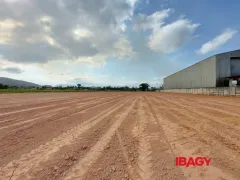 Terreno / Lote Comercial para alugar, 11500m² no Vendaval, Biguaçu - Foto 7