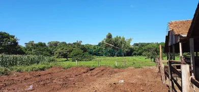 Fazenda / Sítio / Chácara à venda, 251500m² no Iguipora, Marechal Cândido Rondon - Foto 4