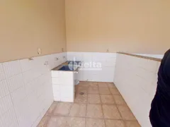 Casa com 4 Quartos à venda, 242m² no Umuarama, Uberlândia - Foto 21