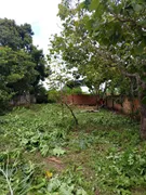 Terreno / Lote / Condomínio à venda, 10m² no Jardim Ipê, Aparecida de Goiânia - Foto 10