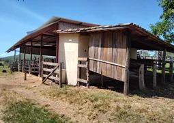Fazenda / Sítio / Chácara com 3 Quartos à venda, 90m² no Zona Rural, Jaraguá - Foto 10