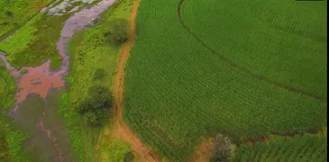Fazenda / Sítio / Chácara com 2 Quartos à venda, 65m² no Zona Rural, Quadra - Foto 30