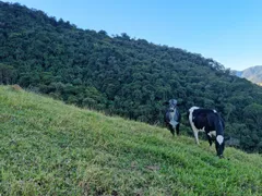 Terreno / Lote Comercial à venda, 20000m² no São Francisco Xavier, São José dos Campos - Foto 15