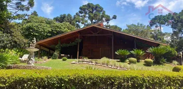 Fazenda / Sítio / Chácara com 3 Quartos à venda, 168000m² no Salgadinho, Campo Largo - Foto 11