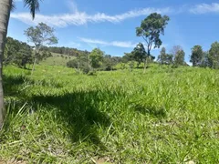 Fazenda / Sítio / Chácara à venda, 170000m² no Zona Rural, Passa Tempo - Foto 10