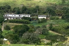 Fazenda / Sítio / Chácara com 2 Quartos à venda, 150000m² no Salvaterra, Juiz de Fora - Foto 22