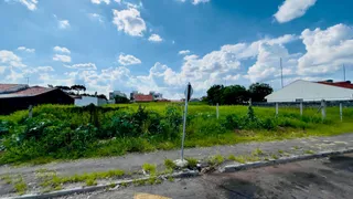 Terreno / Lote / Condomínio à venda, 1200m² no Weissopolis, Pinhais - Foto 7