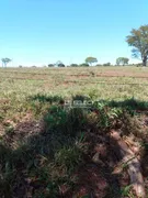 Fazenda / Sítio / Chácara com 1 Quarto à venda, 26000m² no Zona Rural, Uberlândia - Foto 3
