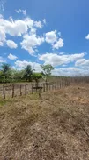 Fazenda / Sítio / Chácara com 2 Quartos à venda, 200m² no Pinheiro, Guaiúba - Foto 38
