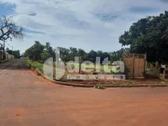 Terreno / Lote / Condomínio à venda, 5000m² no Morada dos Pássaros, Uberlândia - Foto 1