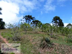 Casa Comercial com 5 Quartos à venda, 28000m² no Palmares, Paty do Alferes - Foto 19