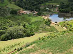 Fazenda / Sítio / Chácara com 4 Quartos à venda, 1350000m² no Zona Rural, Botelhos - Foto 17