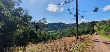 Fazenda / Sítio / Chácara à venda, 40000m² no Zona Rural, Monte Belo do Sul - Foto 4