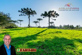 Fazenda / Sítio / Chácara à venda, 70000m² no Zona Rural, Três Coroas - Foto 8