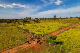 Fazenda / Sítio / Chácara com 3 Quartos à venda, 300m² no Zona Rural, Luziânia - Foto 35