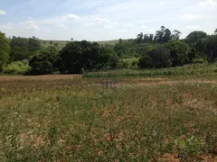 Fazenda / Sítio / Chácara com 2 Quartos à venda, 350m² no Chácaras Alpina, Valinhos - Foto 5