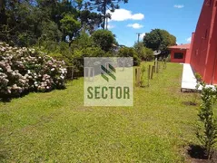 Fazenda / Sítio / Chácara com 4 Quartos para alugar, 600m² no Campo Alto, Tijucas do Sul - Foto 16