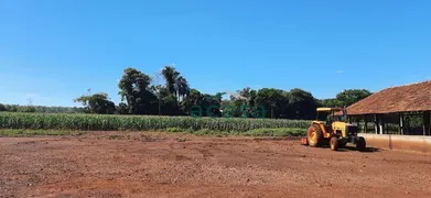 Fazenda / Sítio / Chácara à venda, 251500m² no Iguipora, Marechal Cândido Rondon - Foto 9