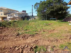 Terreno / Lote / Condomínio à venda, 360m² no Salgado Filho, Caxias do Sul - Foto 4