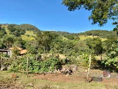 Fazenda / Sítio / Chácara com 2 Quartos à venda, 80m² no Zona Rural, Bonfinópolis - Foto 14