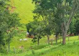 Fazenda / Sítio / Chácara à venda, 242000m² no Zona Rural, Piranguçu - Foto 14