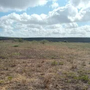 Fazenda / Sítio / Chácara com 5 Quartos à venda, 497000m² no Centro, João Câmara - Foto 9