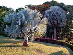 Fazenda / Sítio / Chácara com 4 Quartos à venda, 24000m² no Zona Rural, Socorro - Foto 27