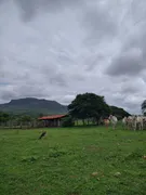 Fazenda / Sítio / Chácara à venda no Zona Rural, Sanclerlândia - Foto 3