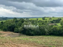 Fazenda / Sítio / Chácara com 3 Quartos à venda, 250m² no Cercado, Aracoiaba da Serra - Foto 26