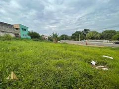 Terreno / Lote / Condomínio à venda, 275m² no Setor Leste, Gama - Foto 18