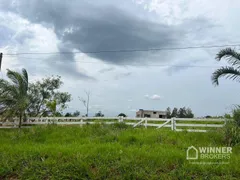 Fazenda / Sítio / Chácara com 3 Quartos à venda, 120m² no , Amaporã - Foto 1