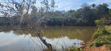 Fazenda / Sítio / Chácara à venda, 20000m² no Zona Rural, Baldim - Foto 11