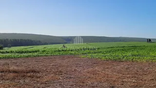 Fazenda / Sítio / Chácara com 3 Quartos à venda, 37m² no Centro, Avaí - Foto 9