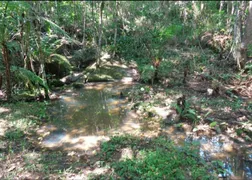 Fazenda / Sítio / Chácara com 3 Quartos à venda, 109000m² no Ratones, Florianópolis - Foto 3