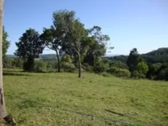 Terreno / Lote / Condomínio à venda, 5000m² no Chapéu do Sol, Porto Alegre - Foto 4